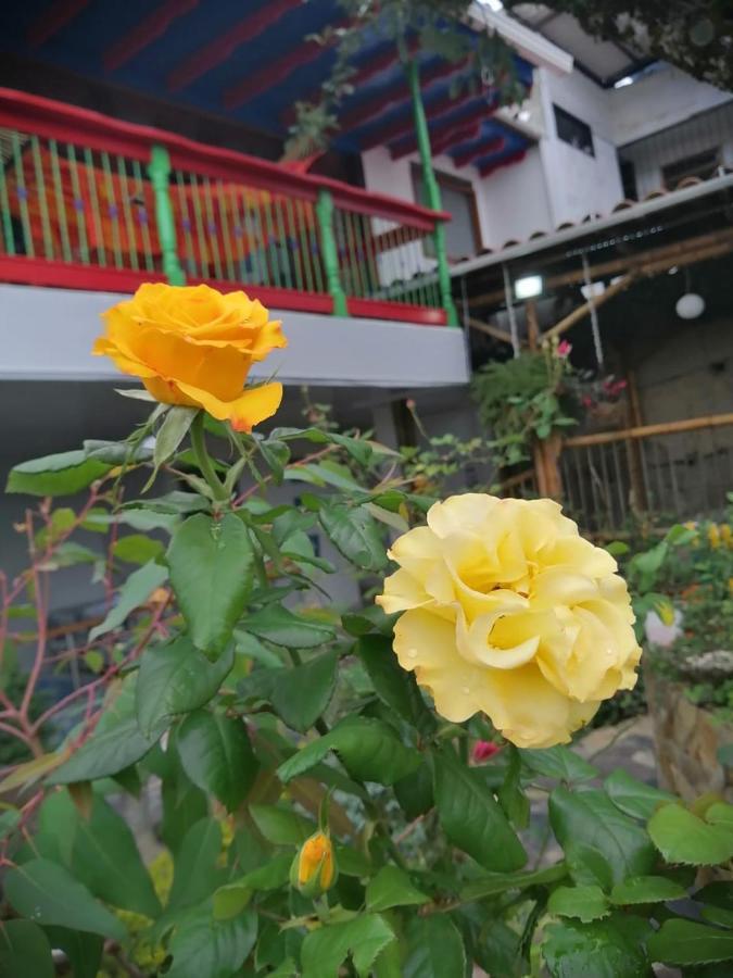 Salamina Highs Exterior photo